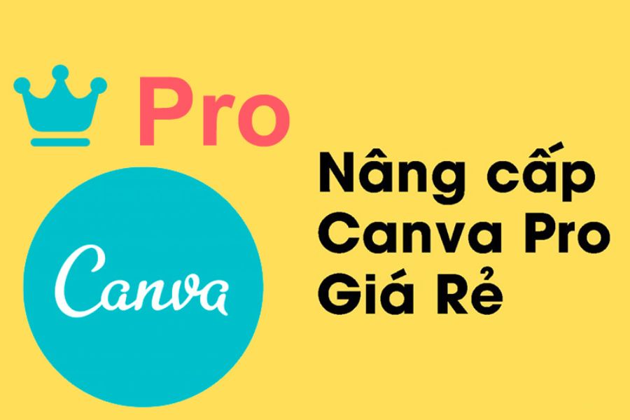 Nâng Cấp Canva Pro Chính Hãng Giá Rẻ