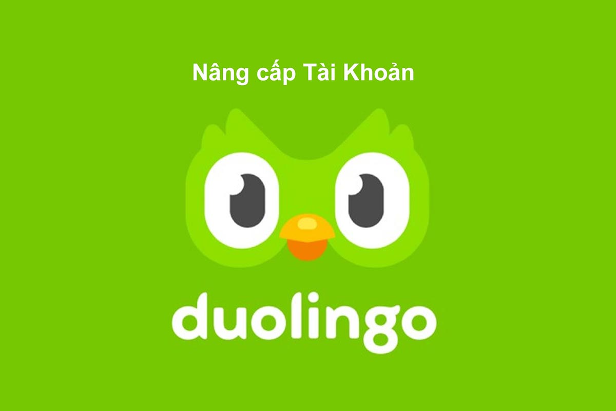 Nâng Cấp Duolingo Super Chính Chủ, Giá rẻ