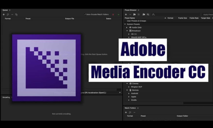 Tài Khoản Adobe Media Encoder